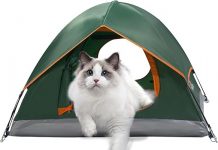 Outdoor Waterproof Pet Camping Tent Review: Is It Worth the Investment for Your Pets?