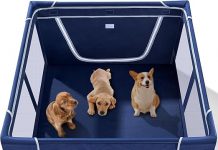 Puppy Playpen Indoor Review: Is It the Best Option for Small Pets’ Safety & Comfort?