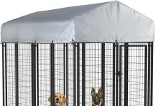 LEMBERI 8x4x6 FT Outdoor Dog Kennel Review: Durable, Secure, and Ideal for Large Dogs
