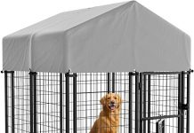 Greesum Large Outdoor Dog Kennel Review: Is It Worth the Investment for Your Pet?