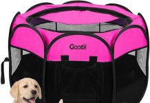 Pet Cat Playpen Review: Is It Worth It for Indoor & Outdoor Use?