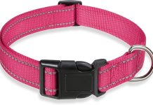 Reflective Dog Collar Review: Is This Adjustable Safety Collar Worth It for Your Pet?