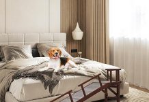 Wooden Dog Ramp Review: Is It the Right Choice for Your Pet’s Safety and Comfort?