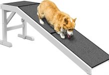 PawHut Dog Ramp Review: Is It Worth the Investment for Your Pet’s Safety & Comfort?