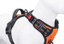 PHOEPET No Pull Dog Harness Review: Is It Worth the Hype for Your Pup’s Comfort & Safety?