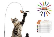 Digital Small Animal Scale Review: Is It the Right Fit for Your Pet’s Health & Care?