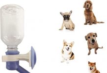 Choco Nose No-Drip Water Bottle Review: Is It Worth the Hype for Your Pets?