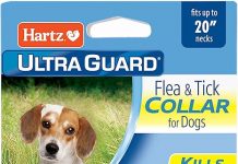 Hartz UltraGuard Flea & Tick Collar Review: 7-Month Protection for Dogs—Worth the Investment?