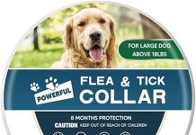 Flea & Tick Collar for Dogs Review: Does it Offer True Protection for Your Pet?