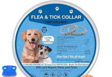 Flea Collar for Dogs Review: Does This Adjustable 2-Pack Provide Real Flea & Tick Protection?