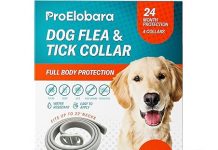 Dog Flea Tick Prevention Collar Review: Is 24-Month Protection Worth It for Your Pet?