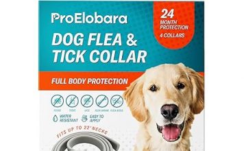 Dog Flea Tick Prevention Collar Review: Is 24-Month Protection Worth It for Your Pet?
