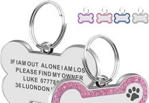 Personalized Dog Tag Review: Is the Glitter Bone ID Tag Worth the Investment?