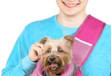 Pet Sling Carrier Review: Is This Pink Backpack the Best for Small Dogs & Cats?