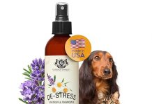 Aromatherapy Freshening & Shining Spray Review: Does it Calm & Freshen Your Pet’s Coat?