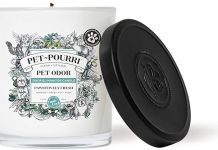 Pet-Pourri Pet Odor Eliminator Candle Review: Is It Worth the Hype for Pet Owners?