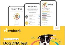 Embark Breed Identification Kit Review: Is It Really the Most Accurate Dog DNA Test?