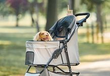 Carlson Pet Products Stroller Review: Is It the Best Choice for Your Pet’s Comfort & Safety?
