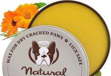 Natural Dog Company Paw Soother Balm Review: Is It the Ultimate Winter Paw Relief?