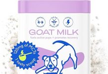 Native Pet Goat Milk Powder Review: Is It Worth It for Your Dog’s Digestive Health?