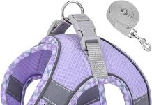 Petank Dog Harness Review: Is This No-Pull Harness Worth It for Your Pup?