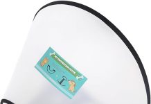 GLADOG Soft Dog Cone Collar Review: Is It the Right Choice for Your Pet’s Recovery?