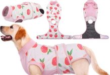 Kuoser Recovery Suit Review: Is It the Ultimate E-Collar Alternative for Pet Recovery?