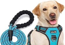 No Pull Dog Harness Review: Adjustable, Reflective, and Perfect for Medium/Large Dogs