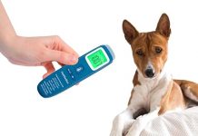 PetMedics Non-Contact Digital Thermometer for Dogs Review: Fast, Accurate & Worth It?