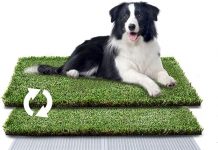 HQ4us Dog Grass Pad Review: Is It the Right Indoor Potty Solution for Your Dog?