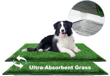 Dog Grass Pad with Tray Review: Is It the Ultimate Odor-Free Solution for Your Dog?