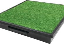 PetSafe Pet Loo Review: Is This Indoor Dog Potty Worth It or Just a Messy Gimmick?