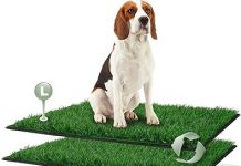 Dog Grass Pad Review: Is This Foldable Litter Box Worth It for Potty Training?