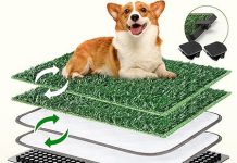 Super Absorbent Dog Grass Pad Review: Does It Truly Stop Leaks & Odors for Potty Training?