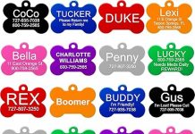 Providence Engraving Pet ID Tags Review: Are They the Best Choice for Your Pet’s Safety?