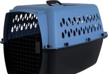 Petmate Pet Porter Dog Kennel Review: Stylish, Secure, and Worth the Investment?