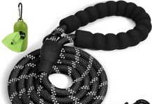 Taglory Rope Dog Leash Review: Is It Worth It for Medium & Large Dogs?