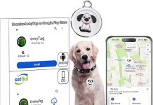 Airtag Dog Collar GPS Tracker Review: Worth It for Pet Safety with No Fees or Charging?