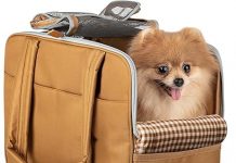 Dog Purse Carrier Review: Comfortable, Durable, and Practical for Small Pet Travel