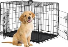 BestPet Dog Crate Review: Is This Folding Kennel Worth the Investment for Small Dogs?