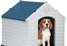 BestPet Dog House Review: Is This Weatherproof Kennel Worth the Investment for Your Dog?