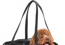 Dog Carrier Purse Review: Stylish, Airline-Approved, But Does It Truly Deliver?