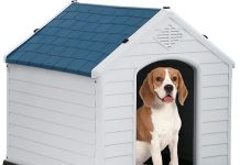 FDW Dog House Review: Is This Waterproof & Durable Shelter Worth the Investment for Your Dog?