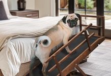 Dog Ramp for Bed Review: Is It Worth It for Small, Large & Senior Dogs?