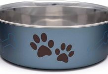 Loving Pets Bella Bowls Review: Is This Spill-Proof, Skid-Resistant Dog Bowl Worth It?