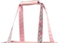 Johomviin Dog Carrier Purse Review: Stylish, Practical, and Perfect for Pet Travel