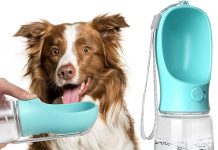 Kalimdor Dog Water Bottle Review: Is This Leak-Proof Bottle Worth Your Pet’s Hydration Needs?