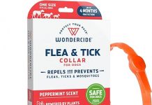 Wondercide Dog Collar Review: Does Natural Flea & Tick Protection Really Work for Dogs?
