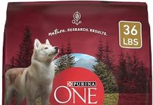 Purina ONE True Instinct Review: Is Turkey & Venison Dry Dog Food Worth the Investment?
