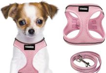 YIMEIS Dog Harness & Leash Set Review: Comfort, Safety, and Style for Your Pet!